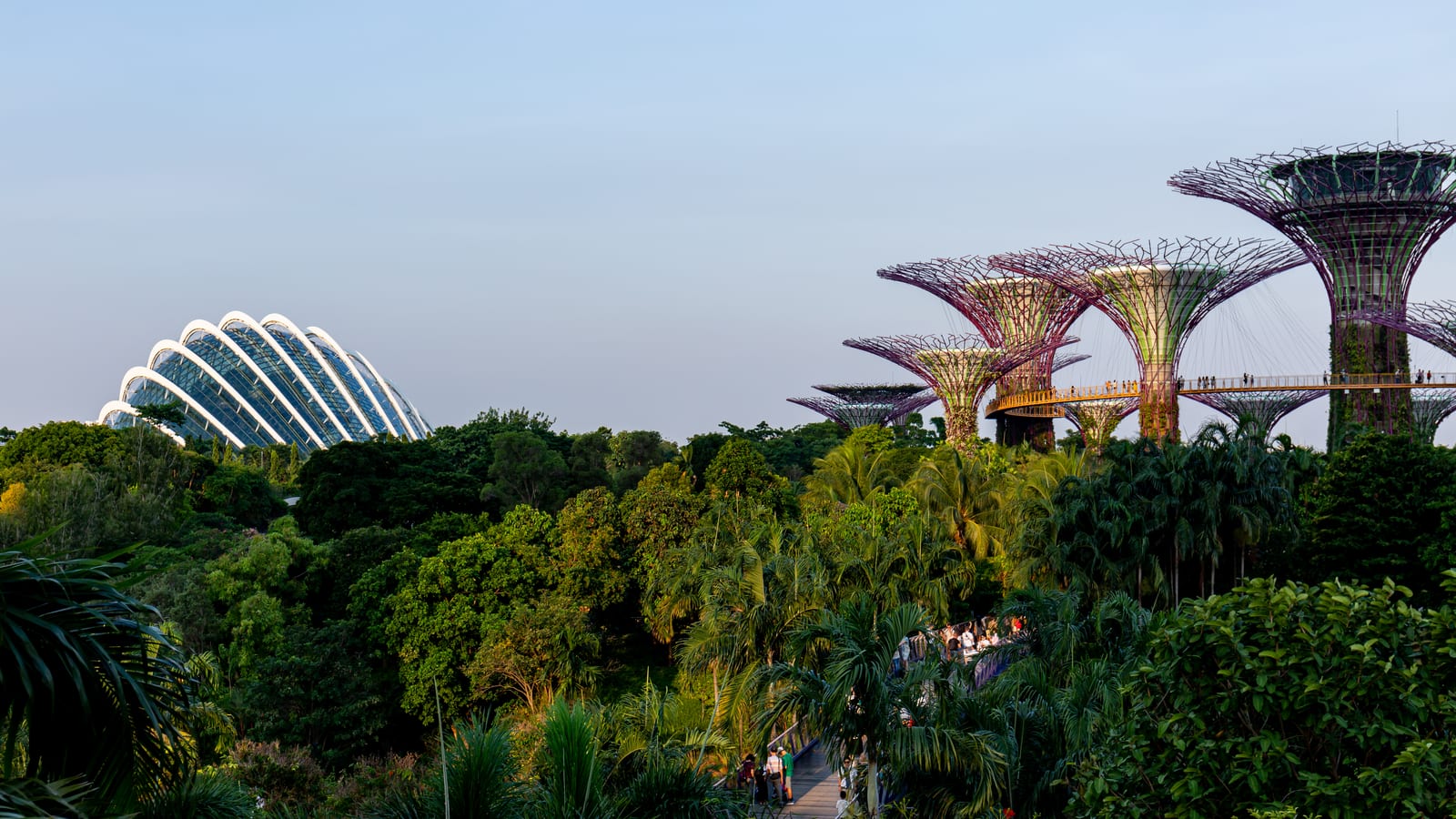 The Supertree Grove and Cloud Forest dome at Gardens by the Bay, Singapore
